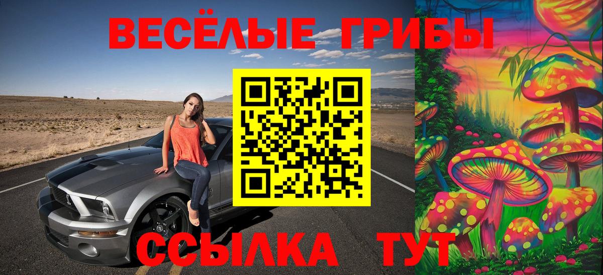 Светлоград  Псилоцибиновые грибы Psilocybine cubensis  Вход с VPN 
