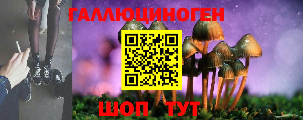 Псилоцибиновые грибы Magic Shrooms Светлоград